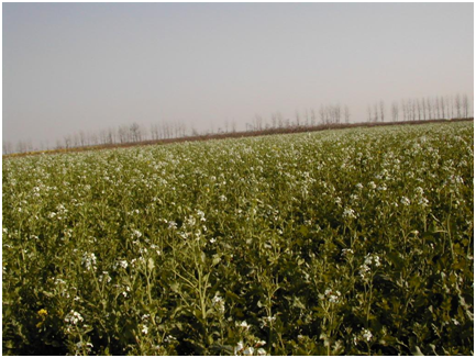 中国·银河集团(galaxy)有限公司-官方网站