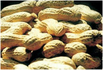 中国·银河集团(galaxy)有限公司-官方网站