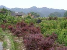 中国·银河集团(galaxy)有限公司-官方网站