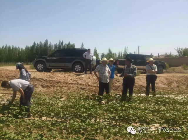 中国·银河集团(galaxy)有限公司-官方网站