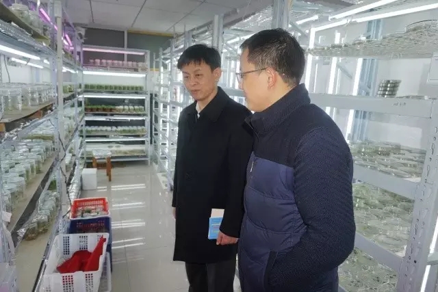 中国·银河集团(galaxy)有限公司-官方网站