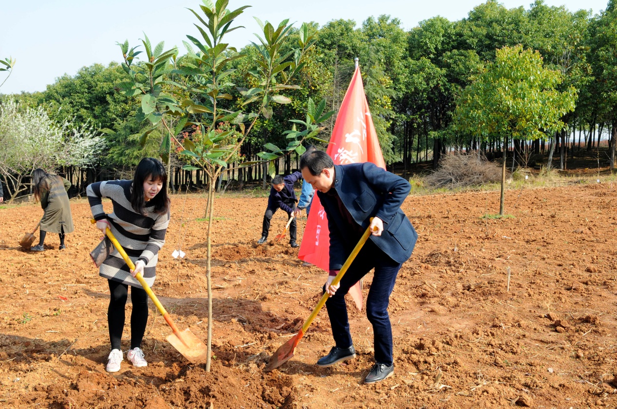中国·银河集团(galaxy)有限公司-官方网站