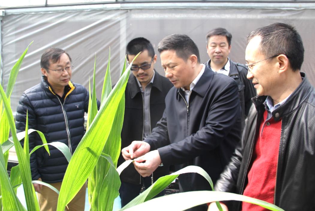 中国·银河集团(galaxy)有限公司-官方网站