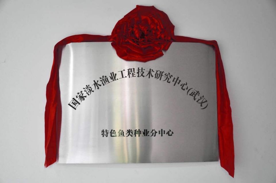 中国·银河集团(galaxy)有限公司-官方网站