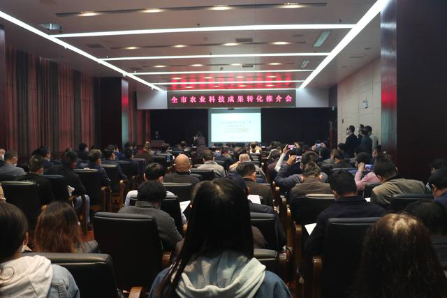 中国·银河集团(galaxy)有限公司-官方网站